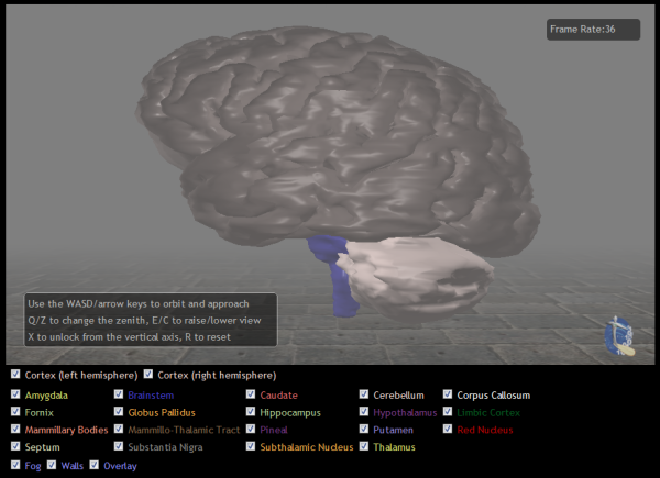 Screen capture of WebGL brain demo